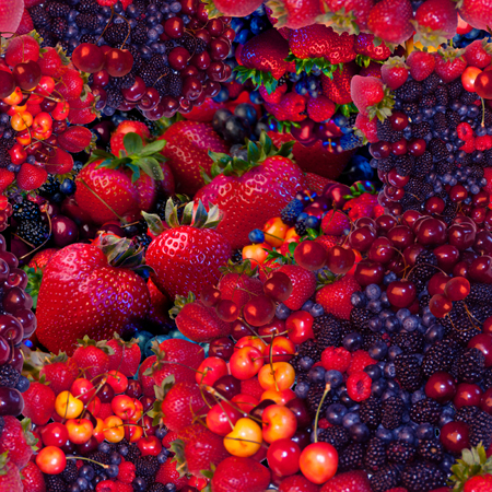 Berry Repeat Pattern