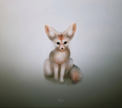 Fennec Wild Beauty