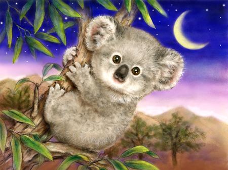 Baby Koala