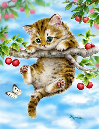 Cherry Kitten