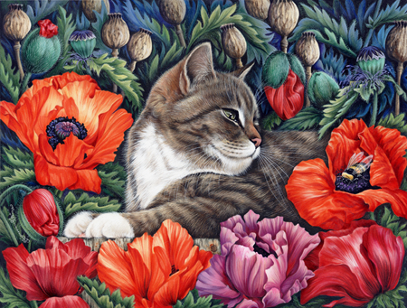 Poppies and Cat