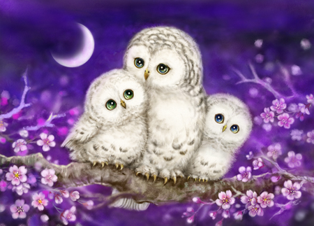 Owl Family