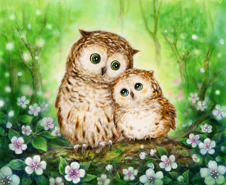 Owls in Green Forest