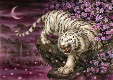 White Tiger with Cherry Blossoms