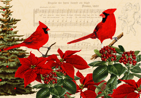 Christmas Cardinals A Horizontal