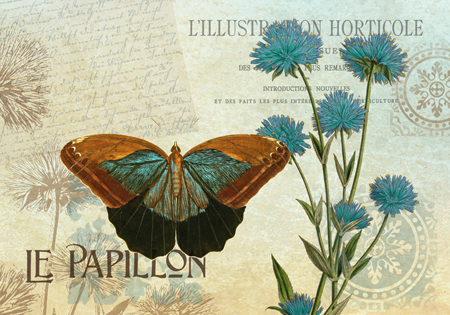 Le Papillon 01