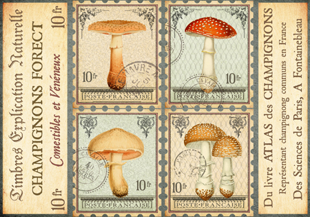 Timbres Champignons 1 A Horizontal