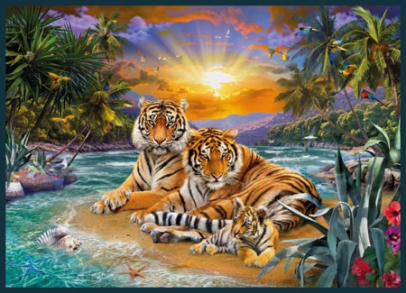 Sunset Tigers