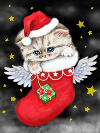 Angel Santa A