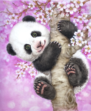 Cherry Blossom Panda