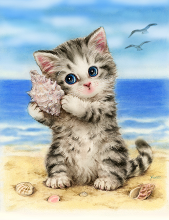 Seashell Cat