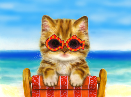 Summertime Cat