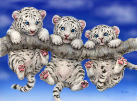 White Tiger Triplets