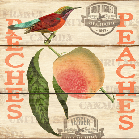 Hummingbird Orchard – Peaches