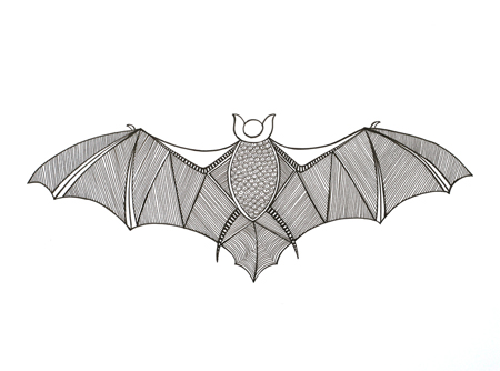 Animals – Bat