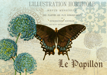 Le Papillon 03