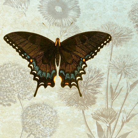 Le Papillon Pattern 2