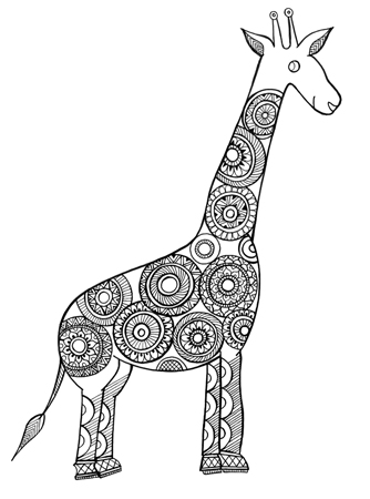 Animal – Giraffe