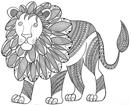 Animal – Lion