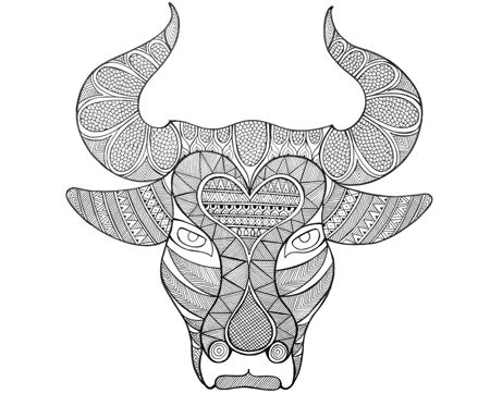 Animal Head – Bull