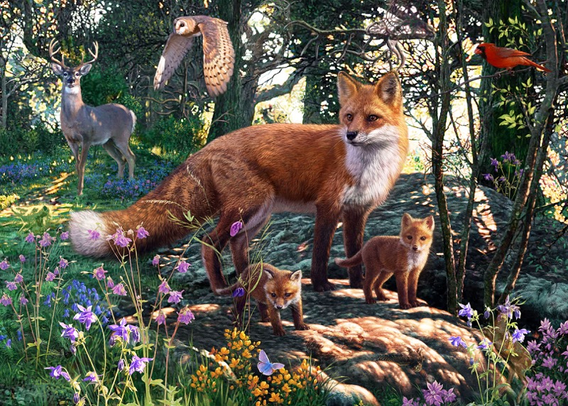 Woodland Wildlife Hidden Objects