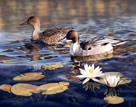 afternoon by the pond cps173