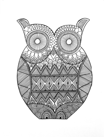 Bird – Owl 2