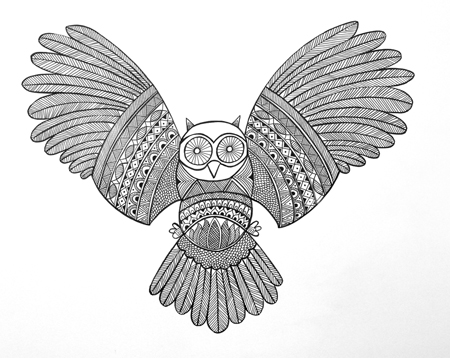 Bird – Owl 3