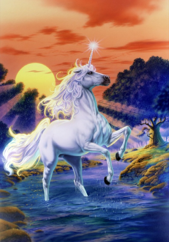 Unicorn Sunset