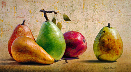 Pears Study cps161