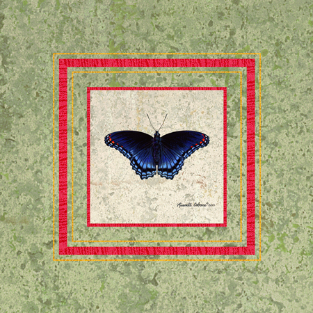 Red spotted Purple cps205