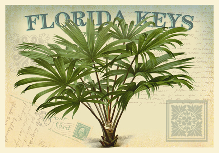 Palms in Paradise – Florida Keys