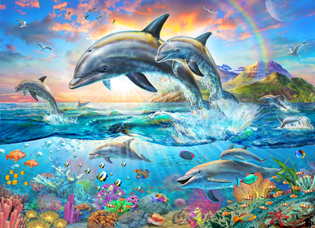 Dolphin Family