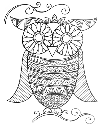 Bird Owl 4