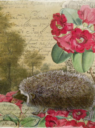 Whimsical Animal Hedgehog