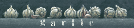 Garlic Panoramic