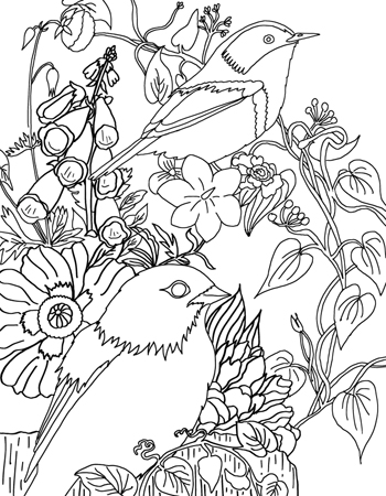 Bird Coloring Page