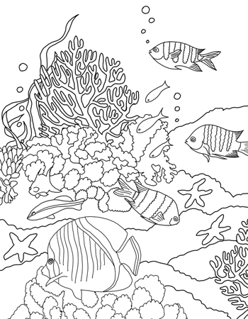 Underwater Colouring