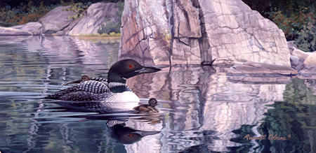 Loon with Baby cps334