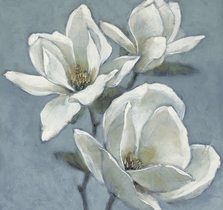 Magnolia trio