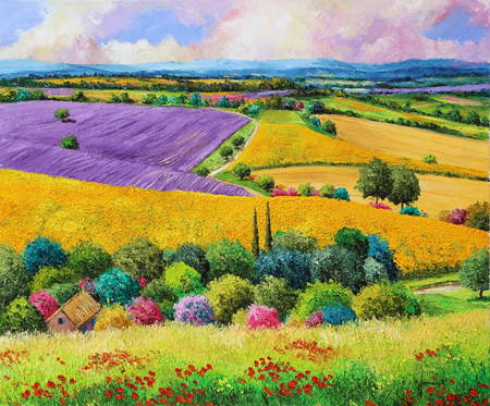 Provencal Fields