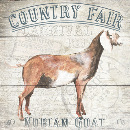 Country Fair – Goat