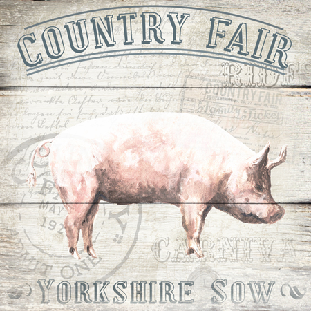 Country Fair – Pig