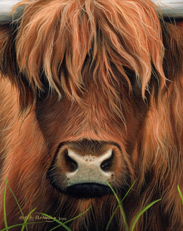 Cow Portrait