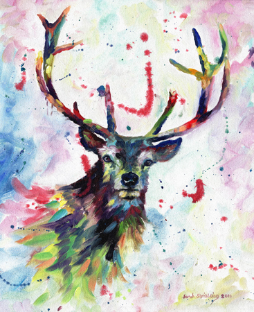 Colour Stag