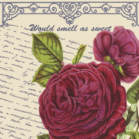 By Any Other Name Square – Pink Rose