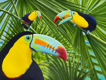 Toucan Threesome