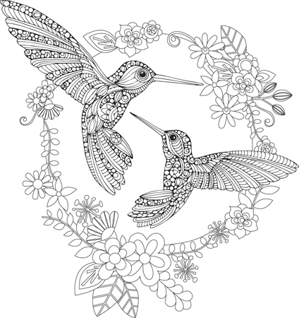 Hummingbird BW