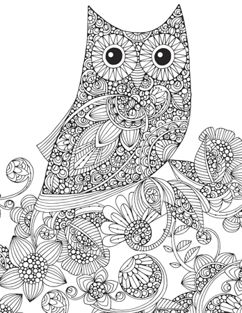 Owl and Flowers