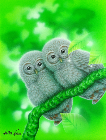 Owl Together 2